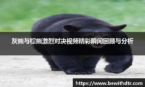 OB电竞官方网站